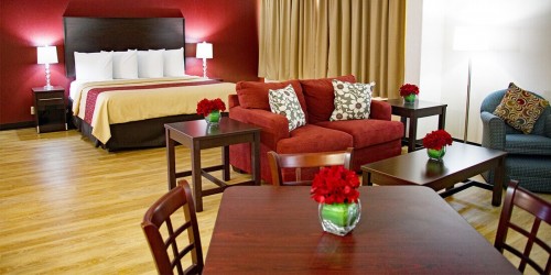 Jacksonville Hotel - Guestroom