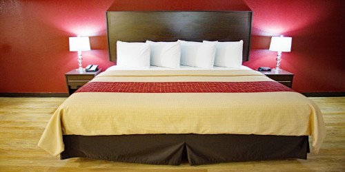 Jacksonville Hotel - King Guestroom